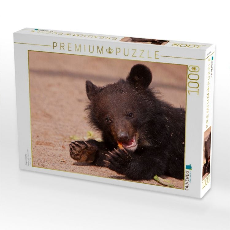 CALVENDO Puzzle Südamerikanische Nasenbären – 1000 Teile, Quer 64 X 48 Cm, Premium Foto-Puzzle Aus Europa, Für Erwachsene & Jugendliche Ab 14 CALVENDO Puzzle Südamerikanische Nasenbären – 1000 Teile, Quer 64 X 48 Cm, Premium Foto-Puzzle Aus Europa, Für Erwachsene & Jugendliche Ab 14