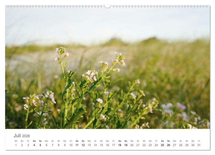 Produktbild: Nordfriesland - wundersch&ouml;ne Westk&uuml;ste (hochwertiger Premium Wandkalender 2026 DIN A2 quer), Kunstdruck in Hochglanz