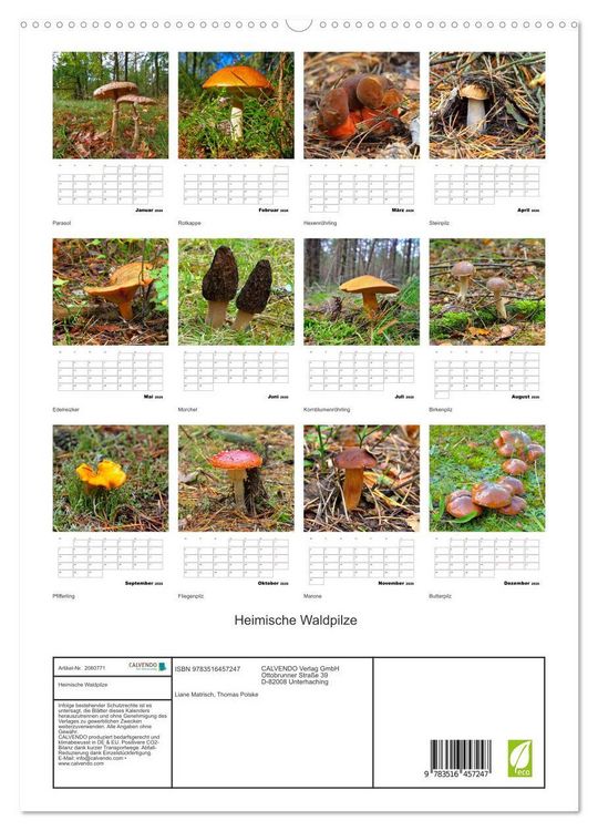 Produktbild: Heimische Waldpilze (hochwertiger Premium Wandkalender 2026 DIN A2 hoch), Kunstdruck in Hochglanz