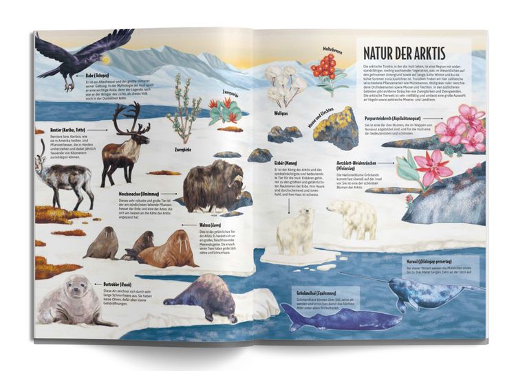 Produktbild: Die Welt der Inuit