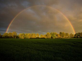 Produktbild: CALVENDO Puzzle Regenbogen in Klein Wesenberg | 1000 Teile Lege-Gr&ouml;&szlig;e 64x48cm Foto-Puzzle f&uuml;r gl&uuml;ckliche Stunden