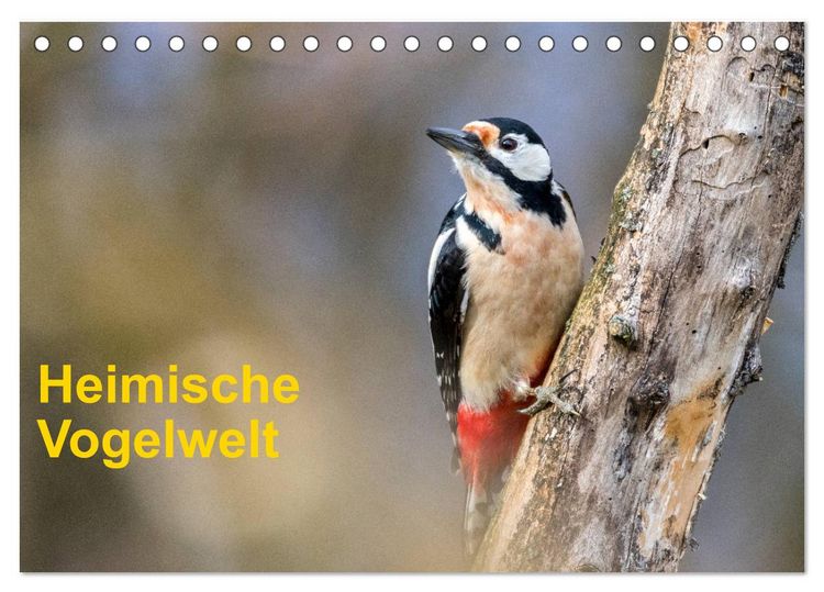 Produktbild: Heimische Vogelwelt (Tischkalender 2026 DIN A5 quer), CALVENDO Monatskalender