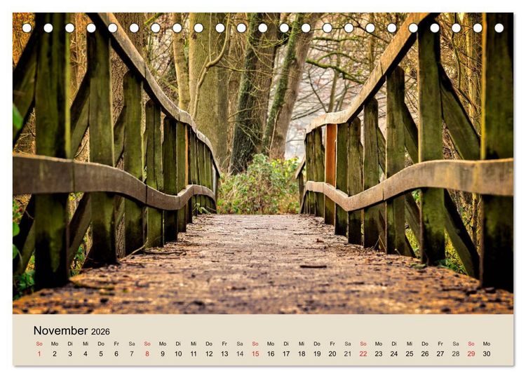Produktbild: Der Wald. Durch zauberhafte Waldlandschaften (Tischkalender 2026 DIN A5 quer), CALVENDO Monatskalender