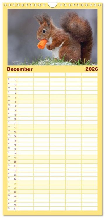 Produktbild: Familienplaner 2026 - Eichh&ouml;rnchen in zauberhaften Posen mit 5 Spalten (Wandkalender, 21 x 45 cm) CALVENDO