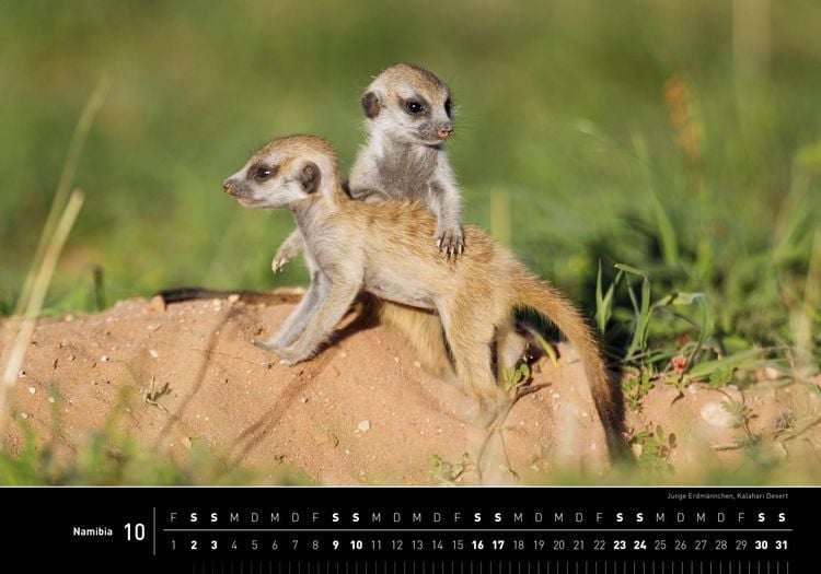 Produktbild: Namibia Premiumkalender 2027