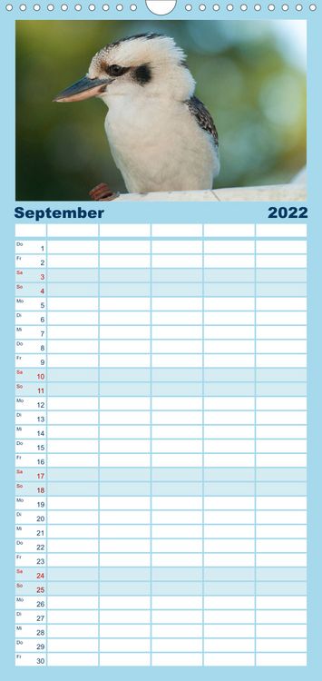 Produktbild: Familienplaner V&ouml;gel von "Down Under" Australien (Wandkalender 2022 , 21 cm x 45 cm, hoch)