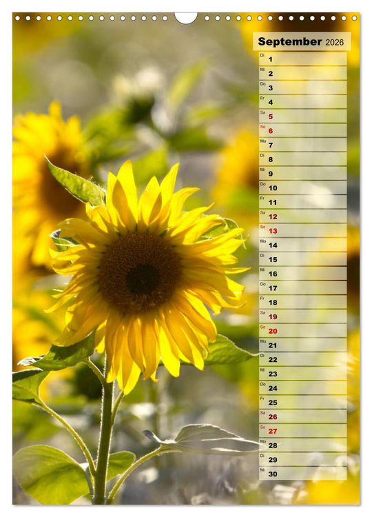 Produktbild: Leuchtende Sonnenblumen, sonnige Aussichten das ganze Jahr (Wandkalender 2026 DIN A3 hoch), CALVENDO Monatskalender