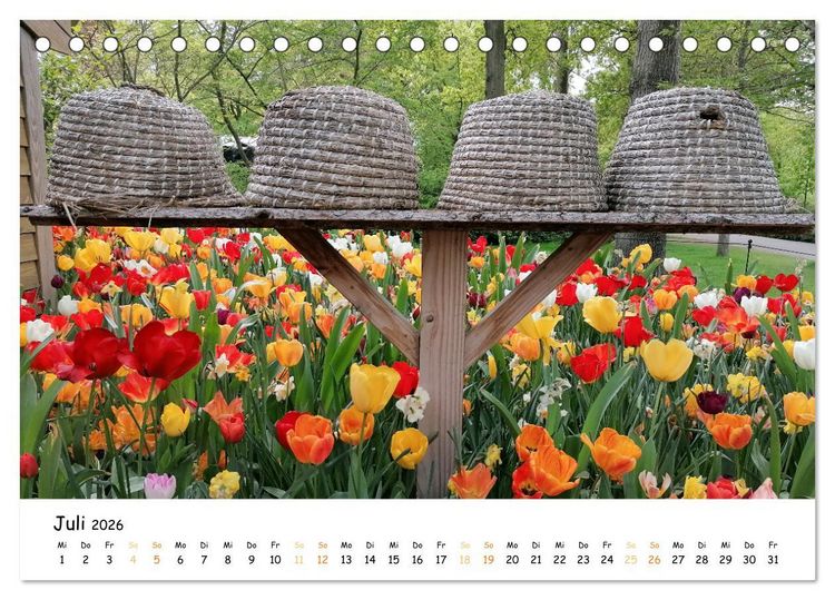 Produktbild: Auf Tour im Land der Tulpen (Tischkalender 2026 DIN A5 quer), CALVENDO Monatskalender