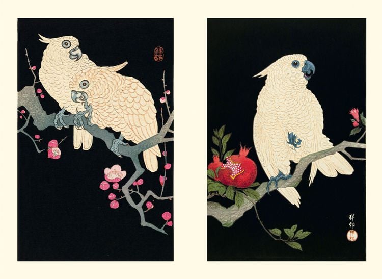 Produktbild: Eisvogel und Lotusbl&uuml;te