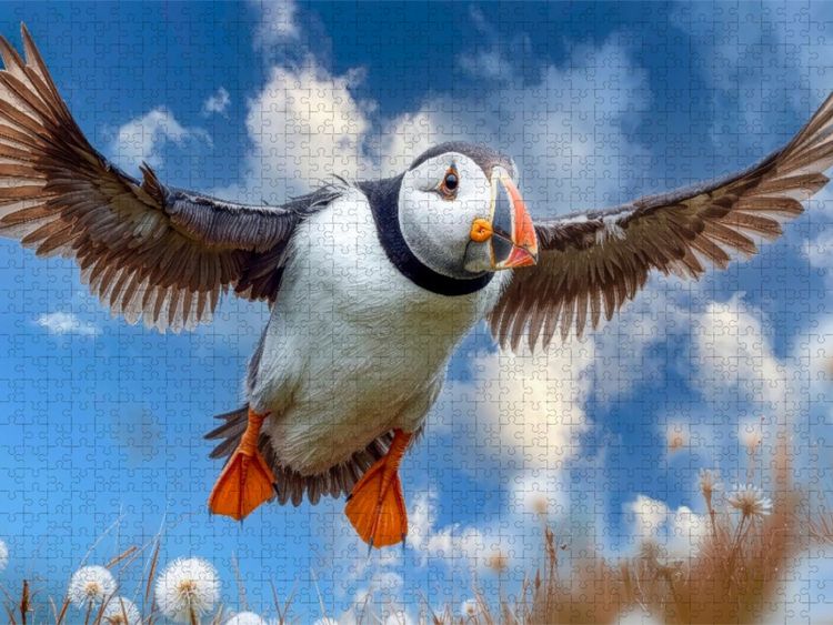 Produktbild: CALVENDO Puzzle Anflug auf die Klippe | 1000 Teile Lege-Gr&ouml;&szlig;e 64x48cm Foto-Puzzle f&uuml;r gl&uuml;ckliche Stunden