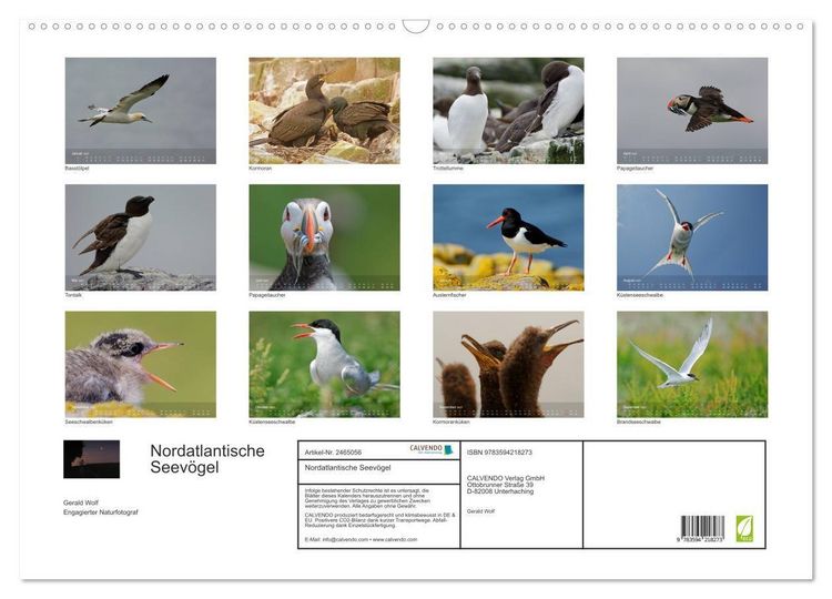 Produktbild: Nordatlantische Seev&ouml;gel (Wandkalender 2027 DIN A2 quer), CALVENDO Monatskalender