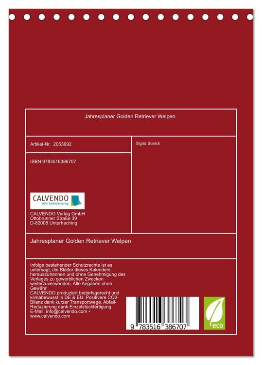 Produktbild: Jahresplaner Golden Retriever Welpen (Tischkalender 2026 DIN A5 hoch), CALVENDO Monatskalender