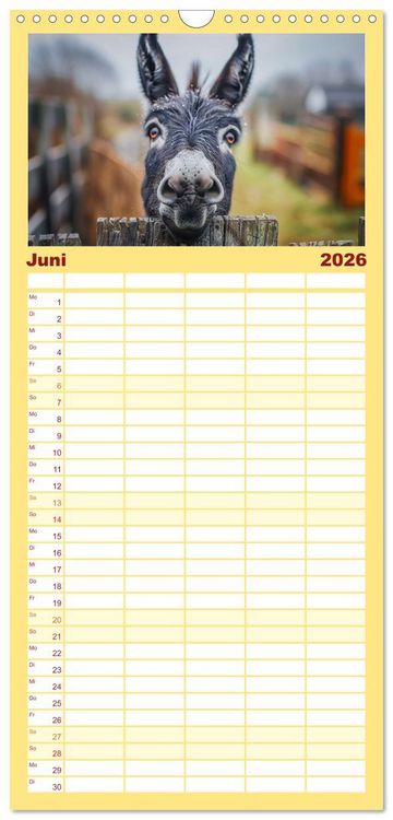 Produktbild: Familienplaner 2026 - Lustige Eselgeschichten mit 5 Spalten (Wandkalender, 21 x 45 cm) CALVENDO