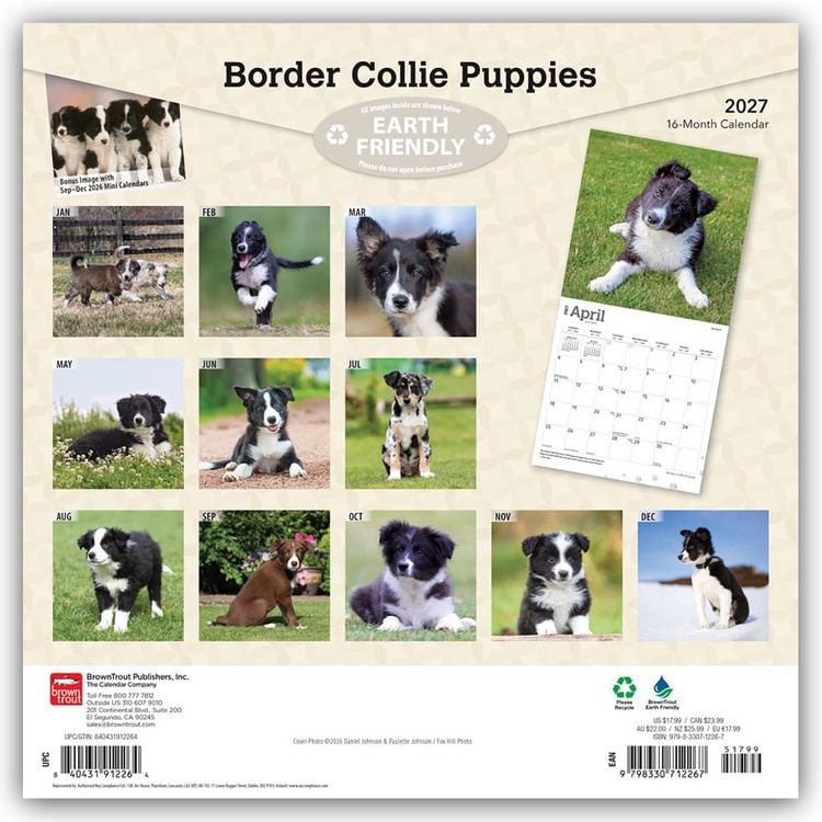 Produktbild: Border Collie Puppies &ndash; Border Collie Welpen 2027 &ndash; 16-Monatskalender