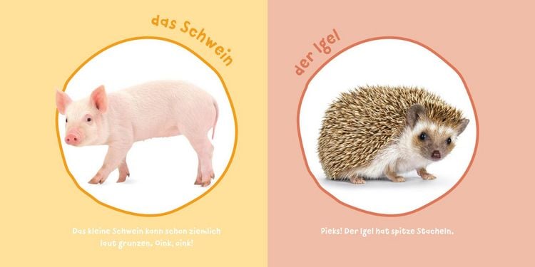Produktbild: Baby Pixi (unkaputtbar) 183: Mein Baby-Pixi-Buggybuch: Meine ersten Tiere