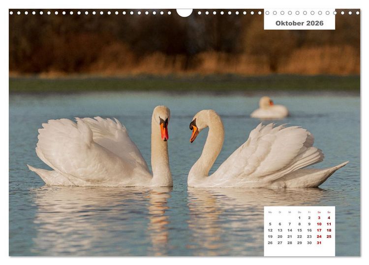 Produktbild: Zwei Tierfotografen Zw&ouml;lf Highlights (Wandkalender 2026 DIN A3 quer), CALVENDO Monatskalender