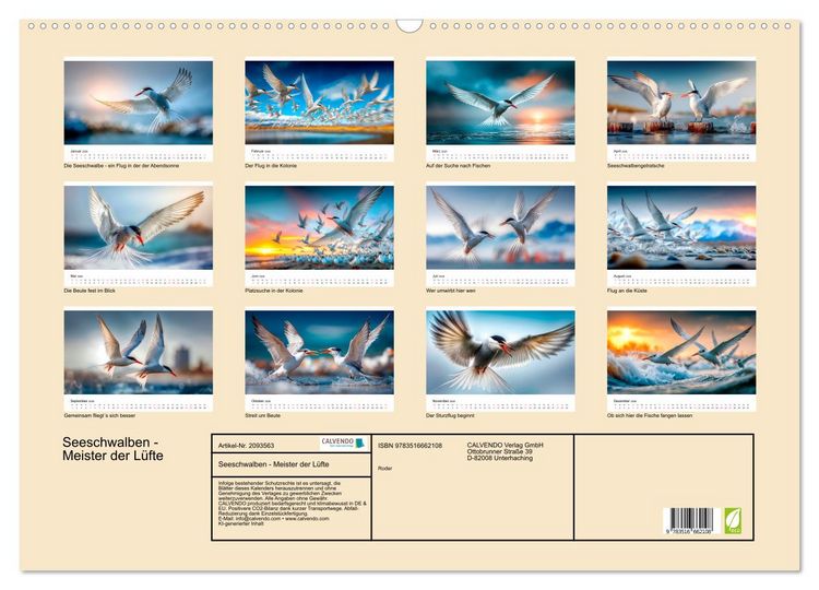 Produktbild: Seeschwalben - Meister der L&uuml;fte (Wandkalender 2026 DIN A2 quer), CALVENDO Monatskalender