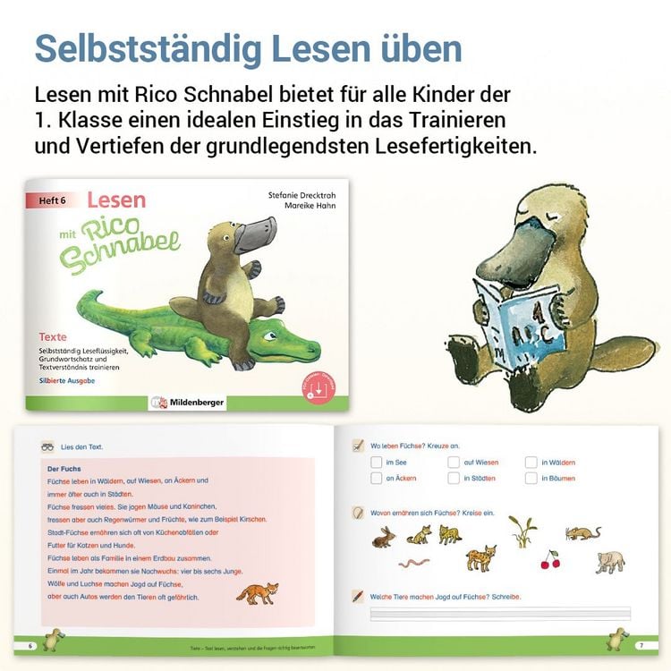 Produktbild: Lesen mit Rico Schnabel, Heft 6: Texte