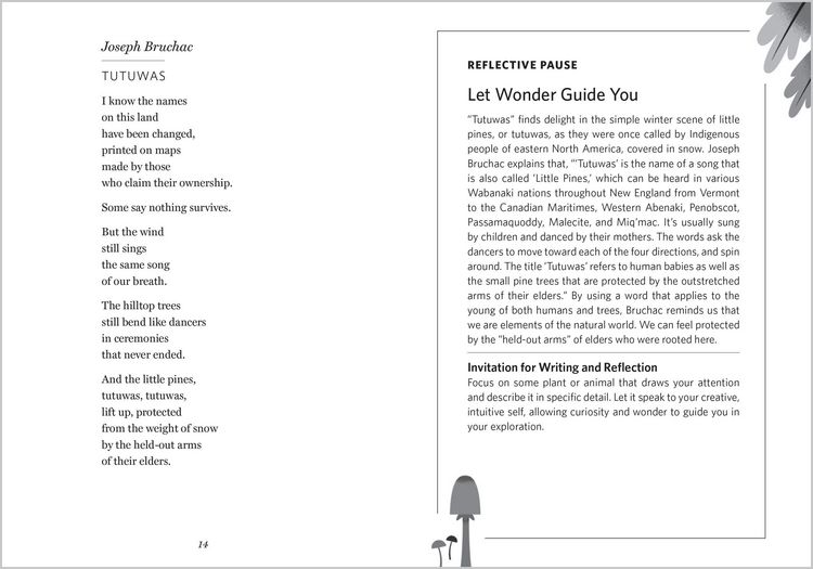 Produktbild: The Wonder of Small Things