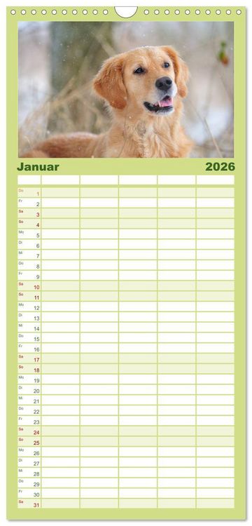 Produktbild: Familienplaner 2026 - Golden Retriever mit 5 Spalten (Wandkalender, 21 x 45 cm) CALVENDO