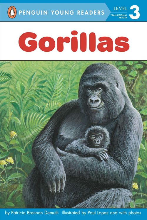 Produktbild: Gorillas
