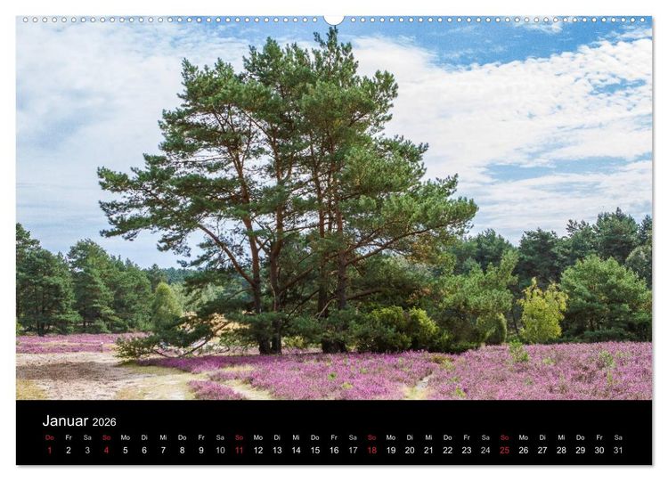 Produktbild: L&uuml;neburger Heide (hochwertiger Premium Wandkalender 2026 DIN A2 quer), Kunstdruck in Hochglanz