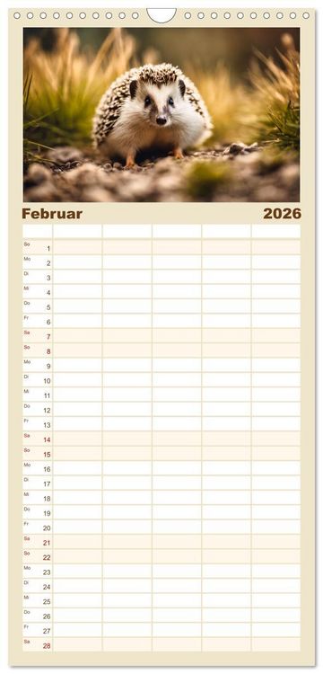 Produktbild: Familienplaner 2026 - Igel - Wildtier des Jahres 2024 mit 5 Spalten (Wandkalender, 21 x 45 cm) CALVENDO