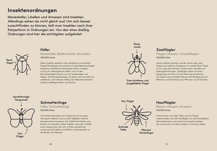 Produktbild: Insektorama
