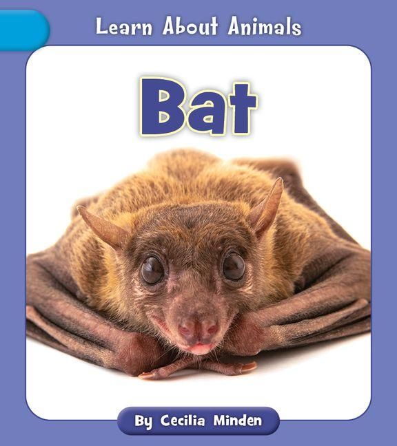 Produktbild: Bat
