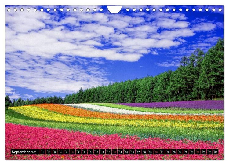 Produktbild: Landschaften im Farbrausch (Wandkalender 2026 DIN A4 quer), CALVENDO Monatskalender