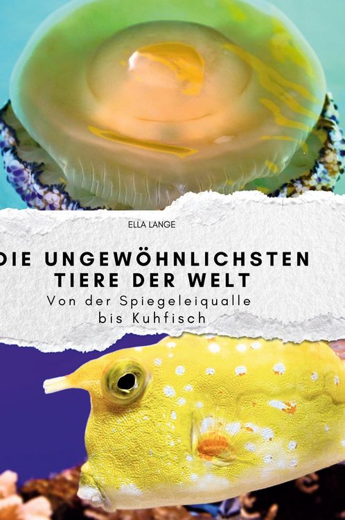 Produktbild: Die ungew&ouml;hnlichsten Tiere der Welt
