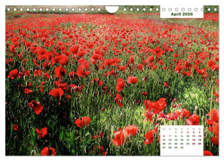 Produktbild: Umbrian Countryside (Wall Calendar 2026 DIN A4 landscape), CALVENDO 12 Month Wall Calendar