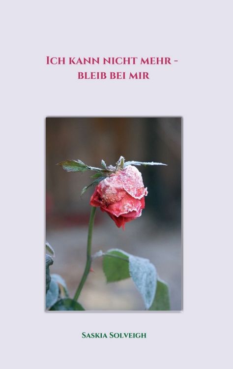 Produktbild: Ich kann nicht mehr - bleib bei mir