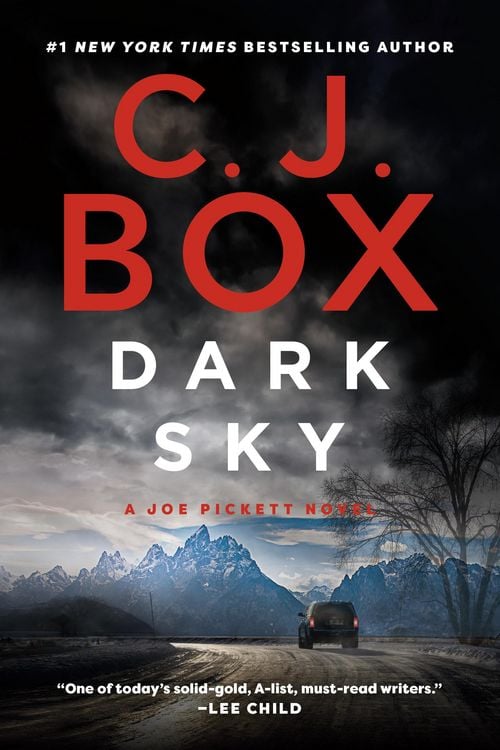 Produktbild: Dark Sky