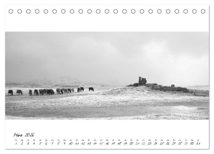 Produktbild: Islandpferde von Brimilsvellir (Tischkalender 2026 DIN A5 quer), CALVENDO Monatskalender