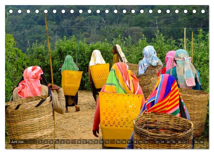 Produktbild: Sri Lanka - Eine Bilder-Reise (Tischkalender 2026 DIN A5 quer), CALVENDO Monatskalender