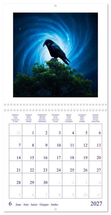 Produktbild: The Forest Fellowship (Wall Calendar 2027 12 &times; 12 Inch) CALVENDO 12 Month Wall Calendar