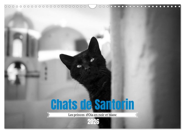 Produktbild: Chats de Santorin - Les princes d'Oia en noir et blanc (Calendrier mural 2026 DIN A3 vertical), CALVENDO calendrier mensuel
