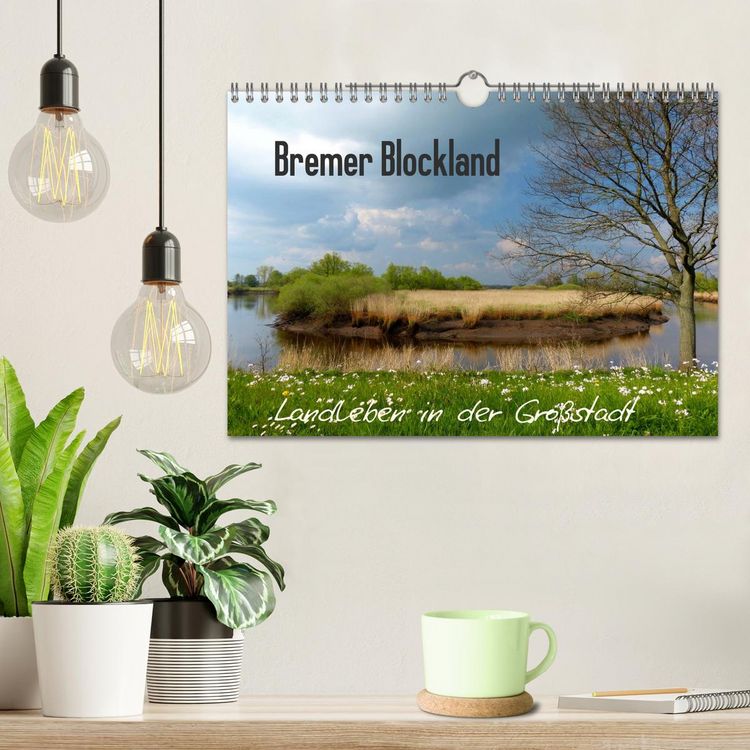 Produktbild: Bremer Blockland - Landleben in der Gro&szlig;stadt (Wandkalender 2026 DIN A4 quer), CALVENDO Monatskalender