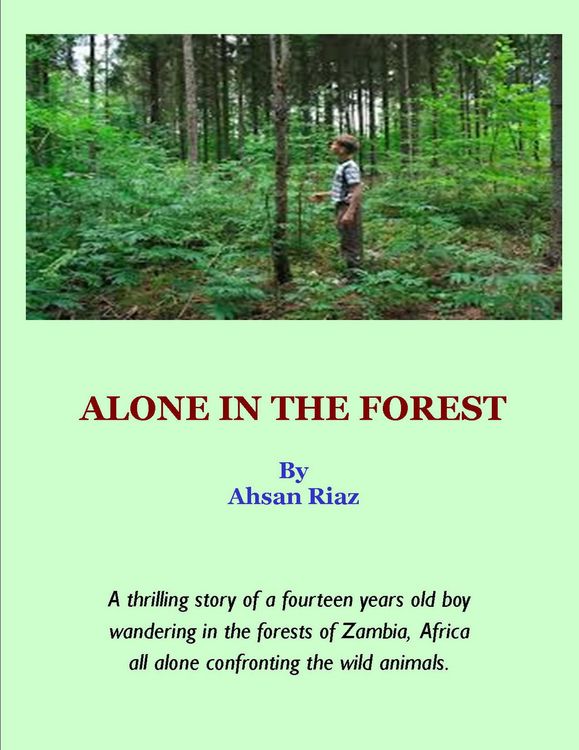 Produktbild: Alone In The Forest