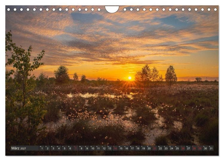 Produktbild: Leben am Naturpark um den D&uuml;mmer See (Wandkalender 2027 DIN A4 quer), CALVENDO Monatskalender