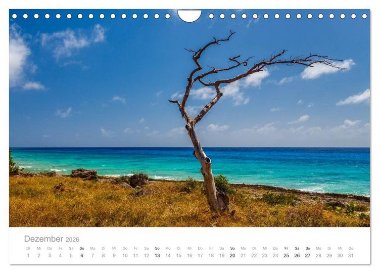 Produktbild: Cuba - Unter der Sonne der Karibik (Wandkalender 2026 DIN A4 quer), CALVENDO Monatskalender