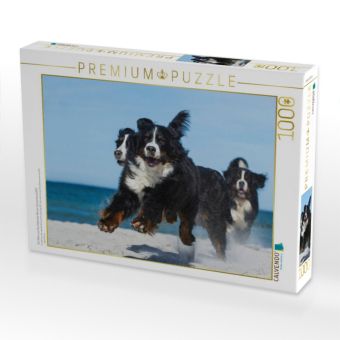 Produktbild: CALVENDO Puzzle Ein Motiv aus dem Kalender Berner Sennenhund 2017 | 1000 Teile Lege-Gr&ouml;&szlig;e 64x48cm Foto-Puzzle f&uuml;r gl&uuml;ckliche Stunden