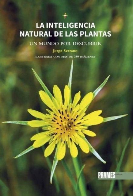 Produktbild: La inteligencia natural de las plantas. Un mundo por descubrir