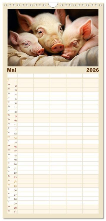 Produktbild: Familienplaner 2026 - Wenn sie schlafen... mit 5 Spalten (Wandkalender, 21 x 45 cm) CALVENDO
