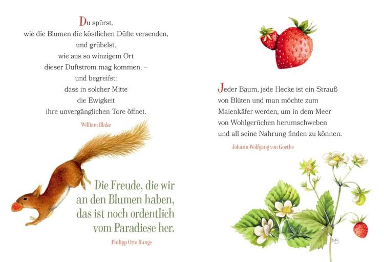 Produktbild: Der Weg zum Gl&uuml;ck f&uuml;hrt durch den Garten