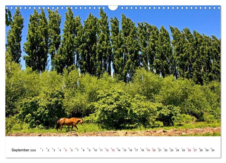 Produktbild: Faszinierendes Patagonien (Wandkalender 2026 DIN A3 quer), CALVENDO Monatskalender