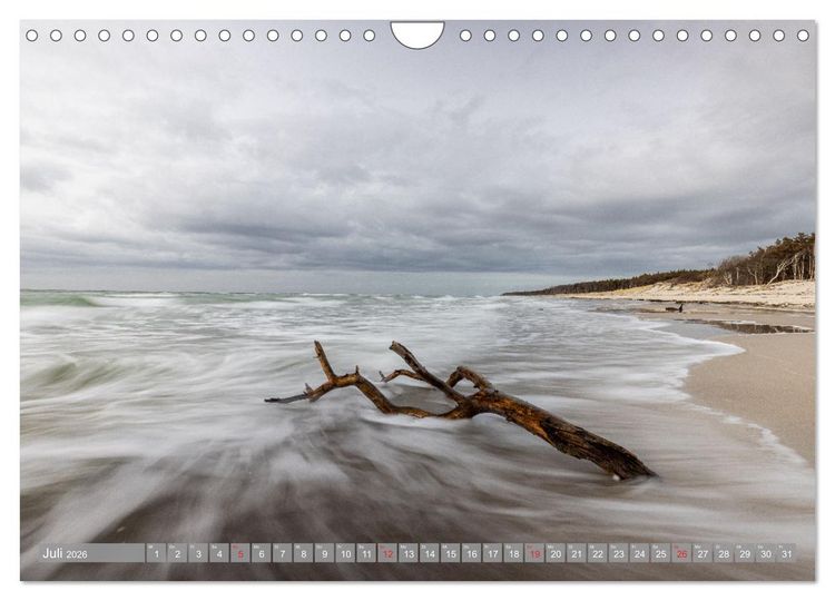 Produktbild: Dar&szlig;-Zingst Naturimpressionen (Wandkalender 2026 DIN A4 quer), CALVENDO Monatskalender