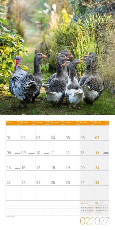 Produktbild: Landleben Kalender 2027 - 30x30 - Art12