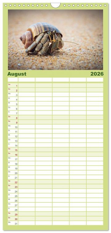 Produktbild: Familienplaner 2026 - Makrowelten Tierreich mit 5 Spalten (Wandkalender, 21 x 45 cm) CALVENDO